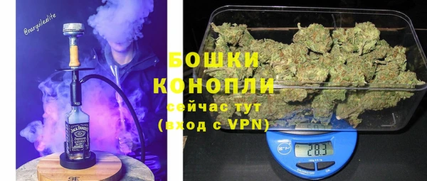 дживик Нягань
