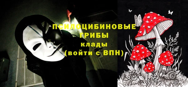 СК Няндома